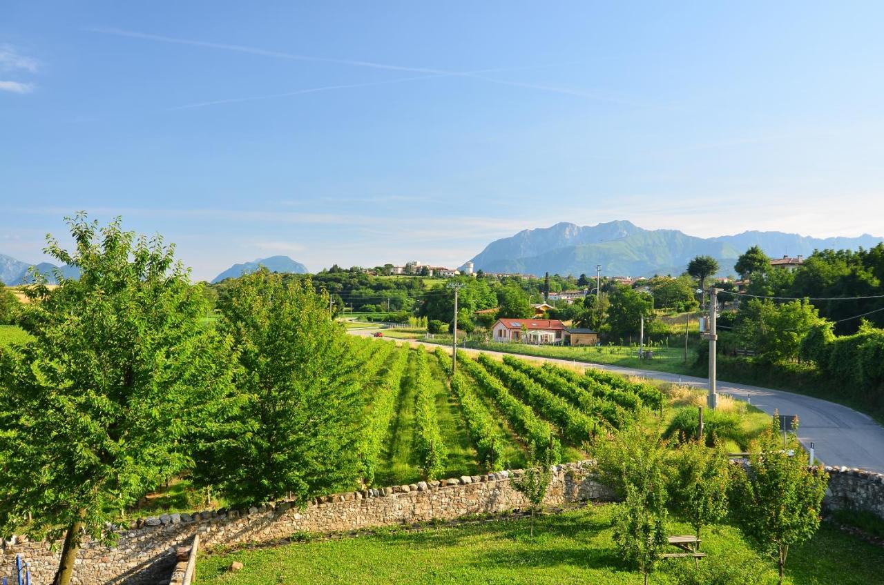 Agriturismo Borgo Floreani Vendoglio Экстерьер фото